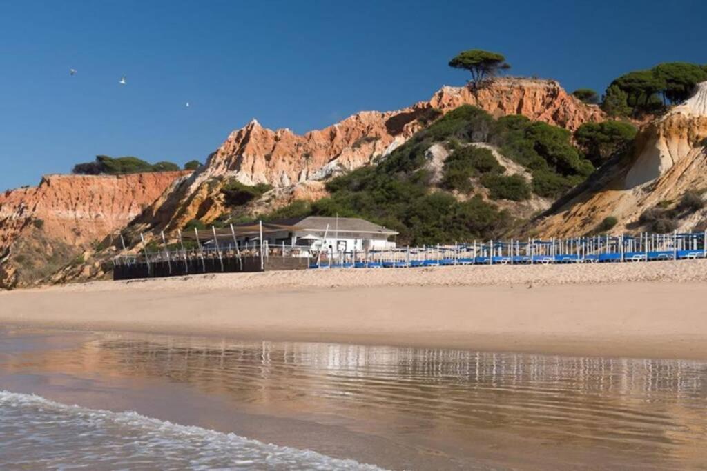 Pool&Garden Village-near beach Albufeira Exterior foto